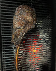 Tomahawk Ribeye